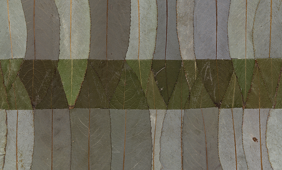 Green Stripe